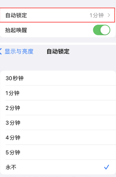 莒南苹果换屏维修分享无法调整iPhone自动锁屏的时间怎么办