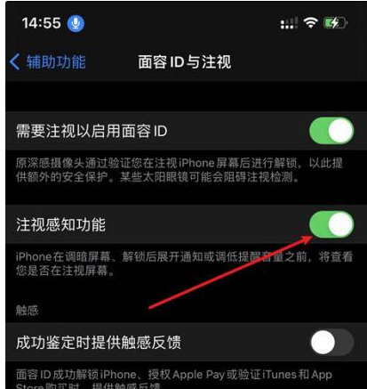 莒南苹果14维修网点分享iPhone14注视感知功能有什么用 